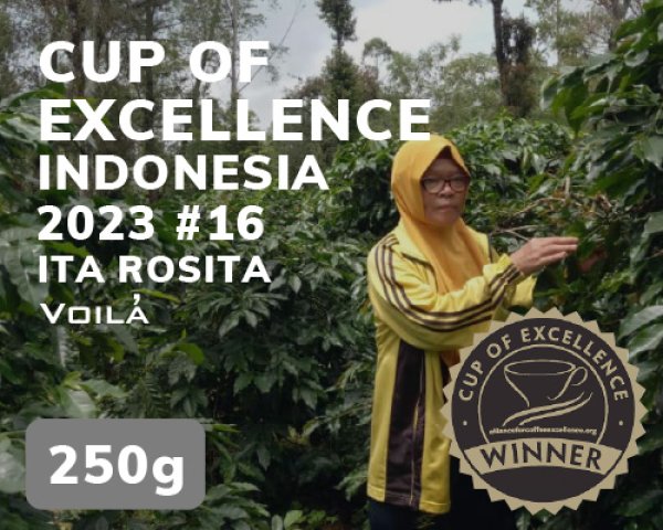 画像1: 【COEインドネシア】イタ・ロシータ (1)