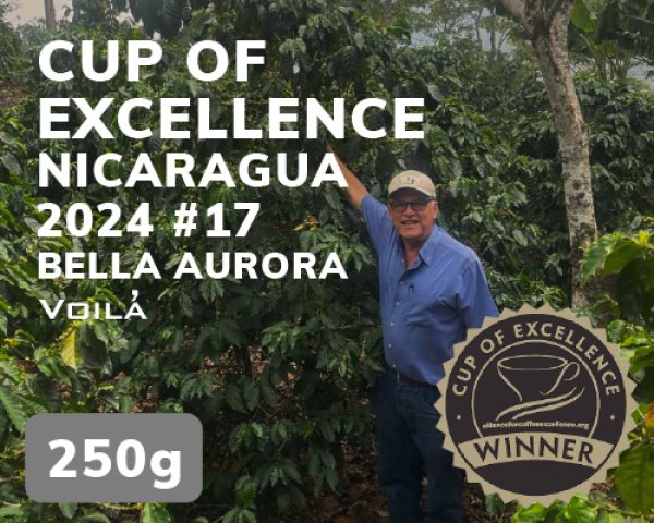 画像1: 【COEニカラグア】ベラ・オーロラ農園 (1)