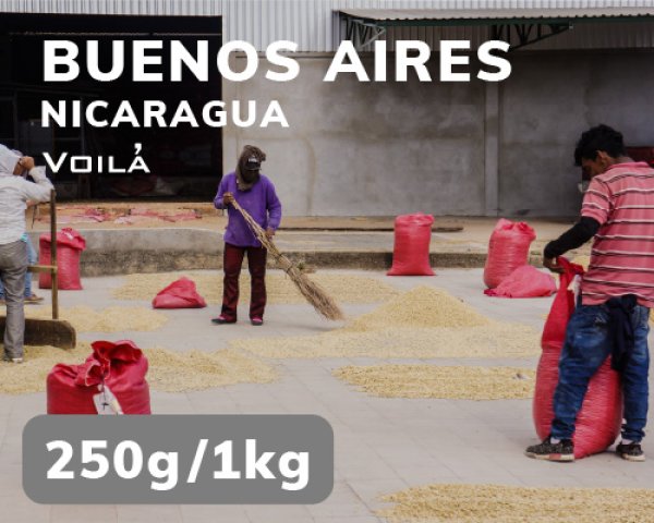 画像1: ブエノス・アイレス農園 (1)