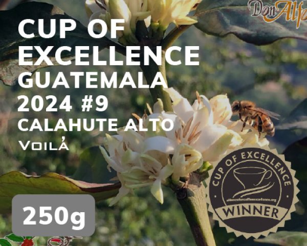 画像1: 【COEグアテマラ】カラウテ農園 (1)