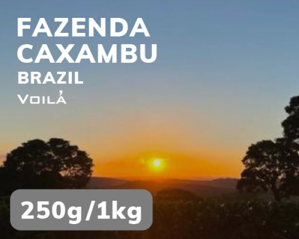 画像1: カッシャンブー農園 (1)