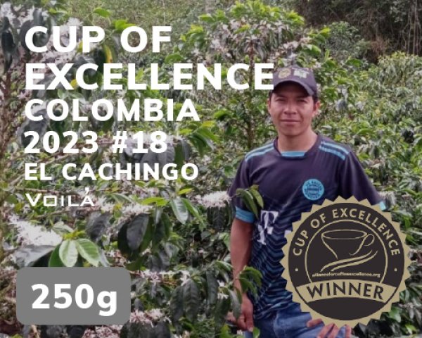 画像1: 【COEコロンビア】エル・カチンゴ農園 (1)