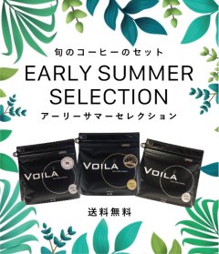 【特別送料無料！】アーリーサマーセレクション【WEB限定】