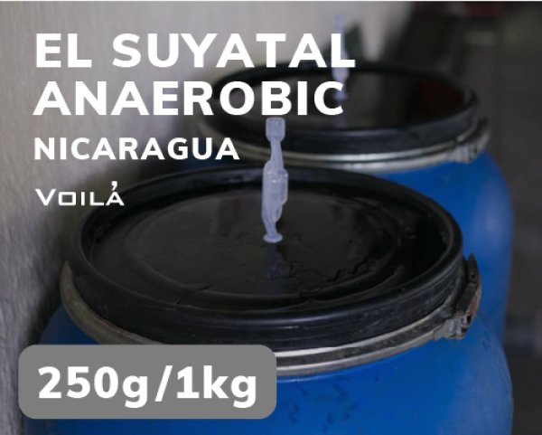 画像1: エル・スヤタル農園　アナエロビック (1)