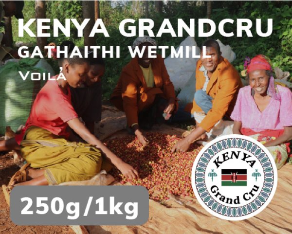 画像1: ケニア・グランクリュ (1)