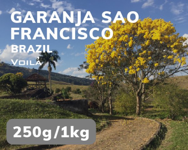 画像1: グランハ・サン・フランシスコ農園 (1)