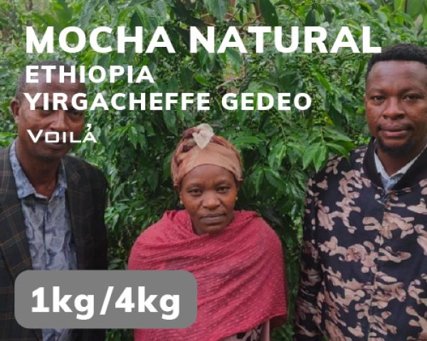 画像1: モカ・ナチュラル【豆のままでのお渡し】 (1)