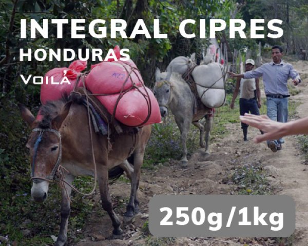 画像1: インテグラル・シプレス農園（こくまろ） (1)