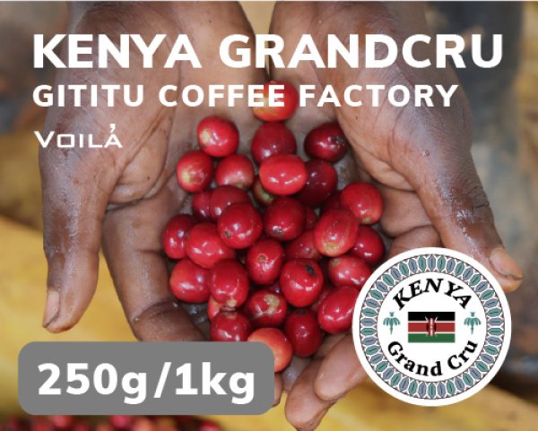 画像1: ケニア・グランクリュ (1)