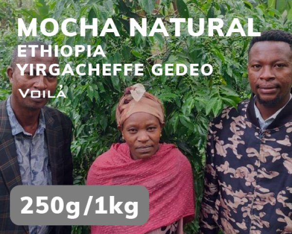 画像1: モカ・ナチュラル (1)