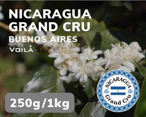 画像1: ニカラグア・グランクリュ (1)