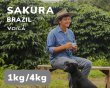 画像1: サクラ農園【豆のままでのお渡し】 (1)
