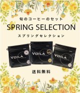 【特別送料無料！】スプリングセレクション【WEB限定】