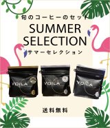【特別送料無料！】サマーセレクション【WEB限定】