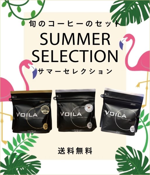 画像1: 【特別送料無料！】サマーセレクション【WEB限定】 (1)