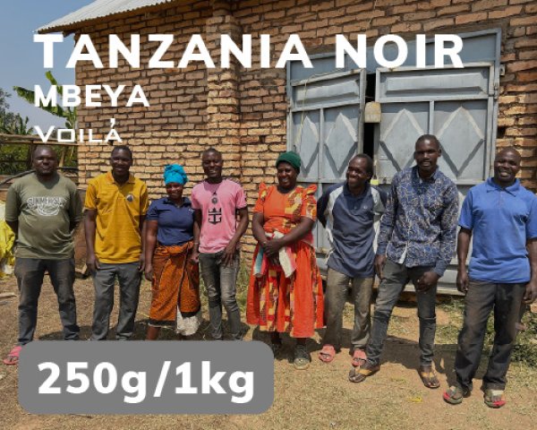 画像1: 【ヴォアラの深焙り】タンザニア・ノアール (1)