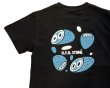 画像2: VOILA Tシャツ 2024 (2)