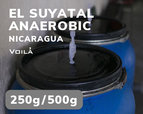 エル・スヤタル農園　アナエロビック